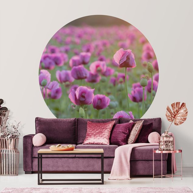 Küche Dekoration Violette Schlafmohn Blumenwiese im Frühling