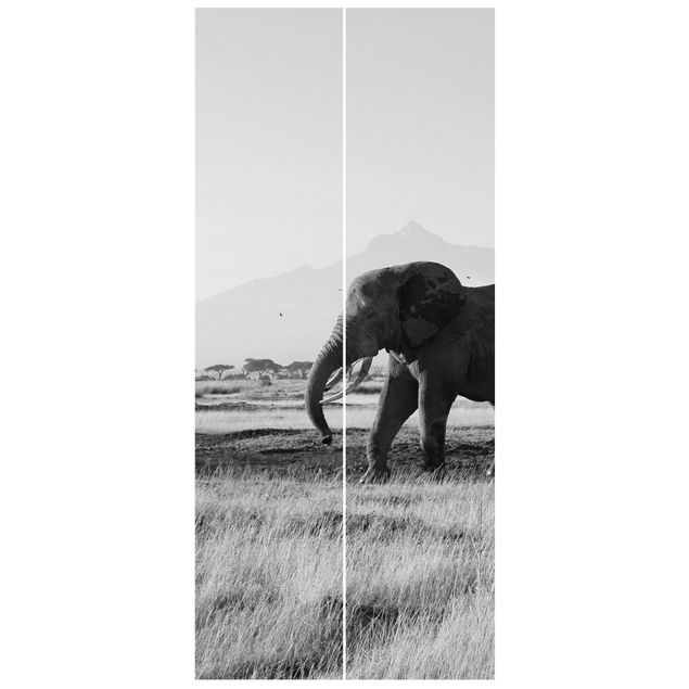 Fototapete Berge Elefanten vor dem Kilimanjaro in Kenya II