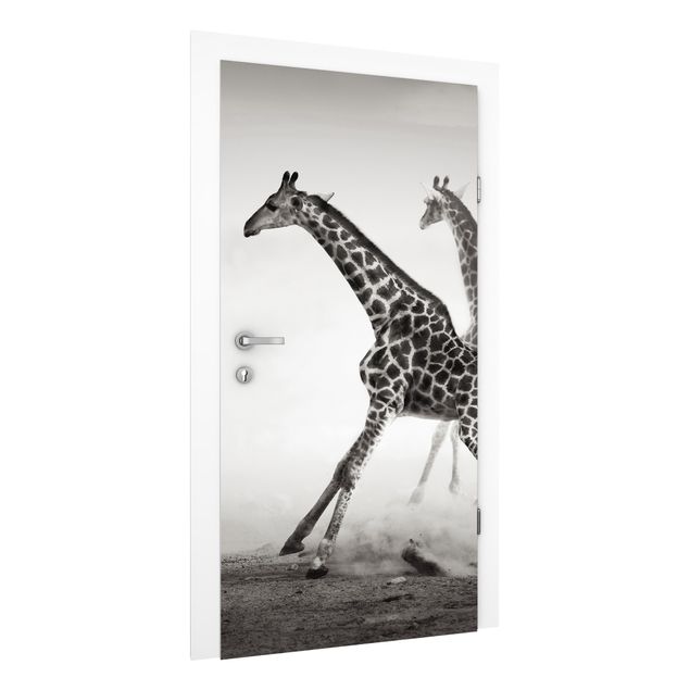 Fototapete Giraffe Giraffenjagd