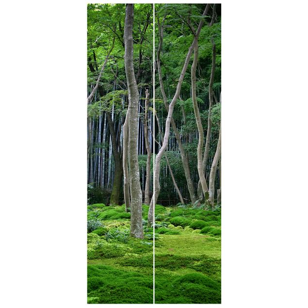 Fototapete Wald Japanischer Wald