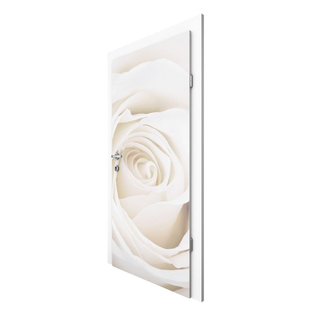 moderne Fototapete Pretty White Rose