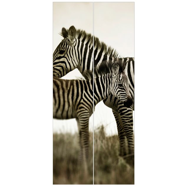 Fototapete Schwarz-Weiß Zebrapaar