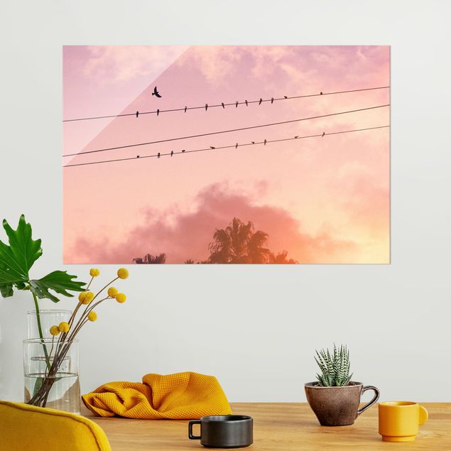 Glasbilder Sonnenuntergänge Vögel auf der Stromleitung