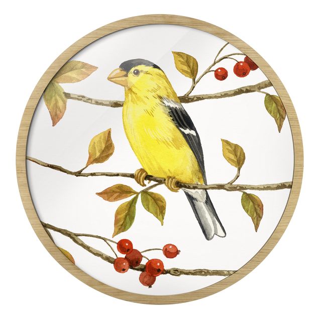 Wandbilder Gelb Vögel und Beeren - Goldzeisig