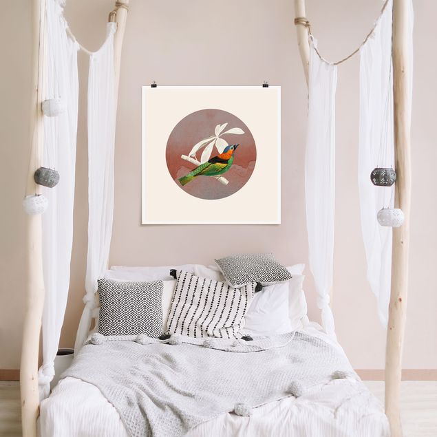 Wandbilder Modern Vogel Collage im Kreis II