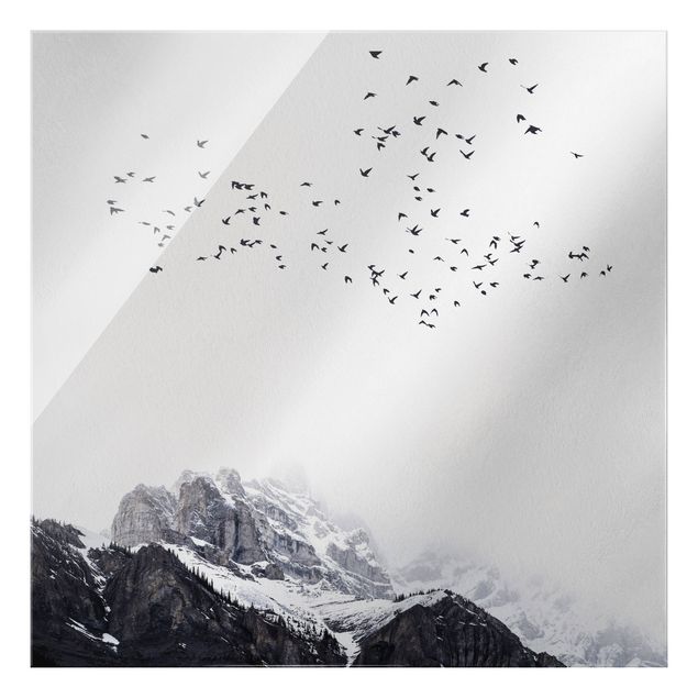 Glasbilder Schwarz-Weiß Vogelschwarm vor Bergen Schwarz Weiß