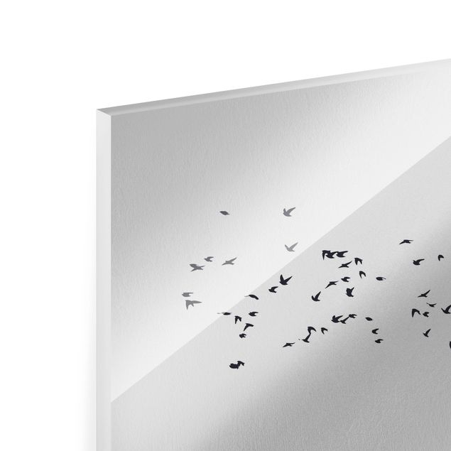 Glasbilder Landschaften Vogelschwarm vor Bergen Schwarz Weiß