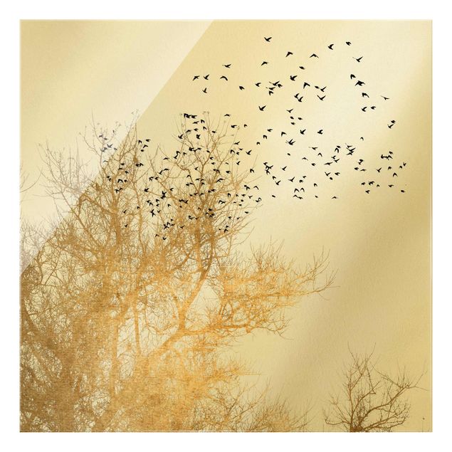 Glasbilder Tiere Vogelschwarm vor goldenem Baum