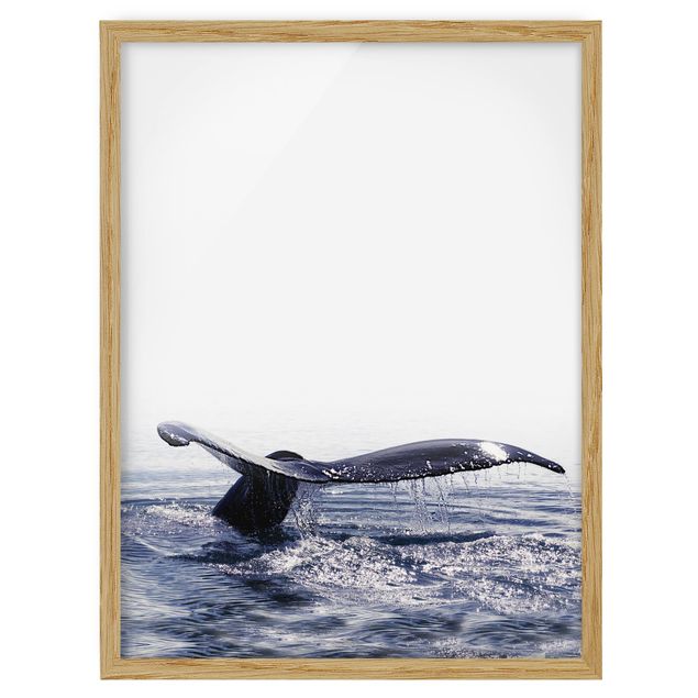 Wandbilder Tiere Wal Gesang auf Island