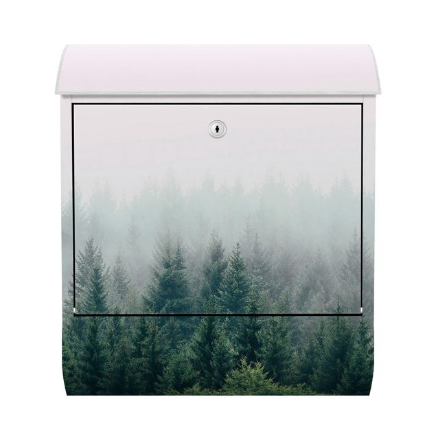 grüner Briefkasten Wald im Nebel Dämmerung