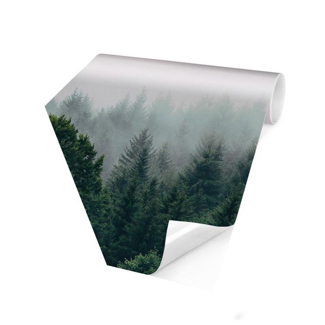 Fototapeten Schwarz Wald im Nebel Dämmerung
