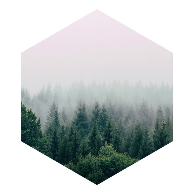 Fototapete kaufen Wald im Nebel Dämmerung