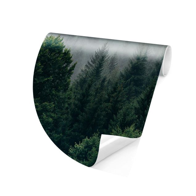 Fototapete gruen Wald im Nebel Dämmerung