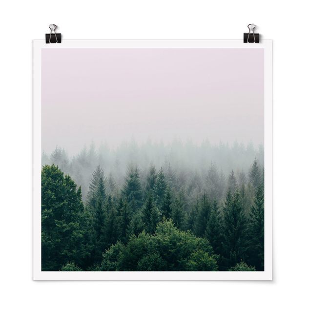 Poster Natur Wald im Nebel Dämmerung