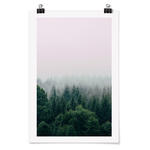 Poster Naturbilder Wald im Nebel Dämmerung