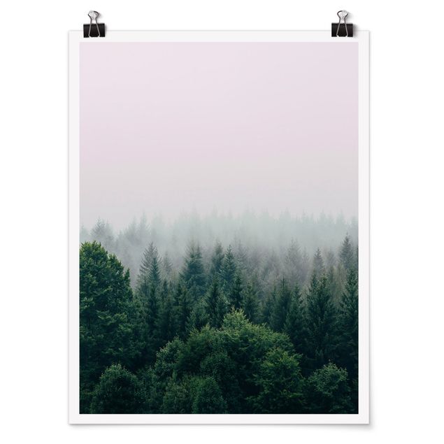 Natur Poster Wald im Nebel Dämmerung