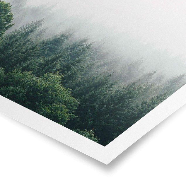 Wandbilder Natur Wald im Nebel Dämmerung