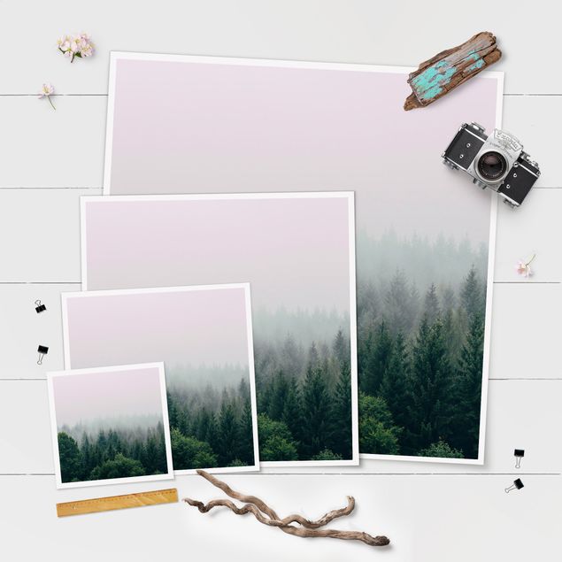 Bilder Wald im Nebel Dämmerung