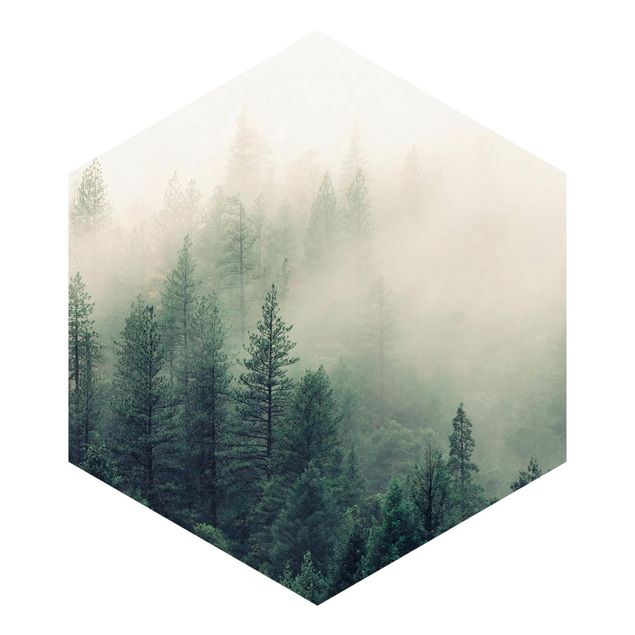 Fototapete kaufen Wald im Nebel Erwachen