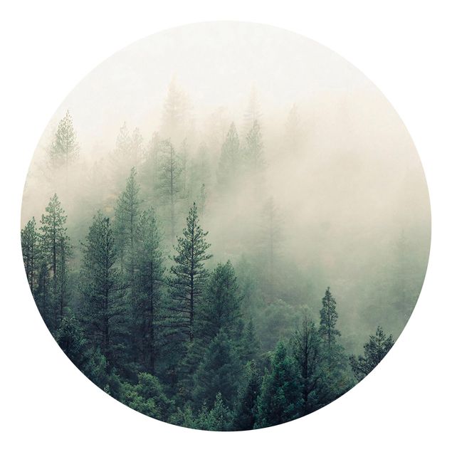 Fototapete kaufen Wald im Nebel Erwachen