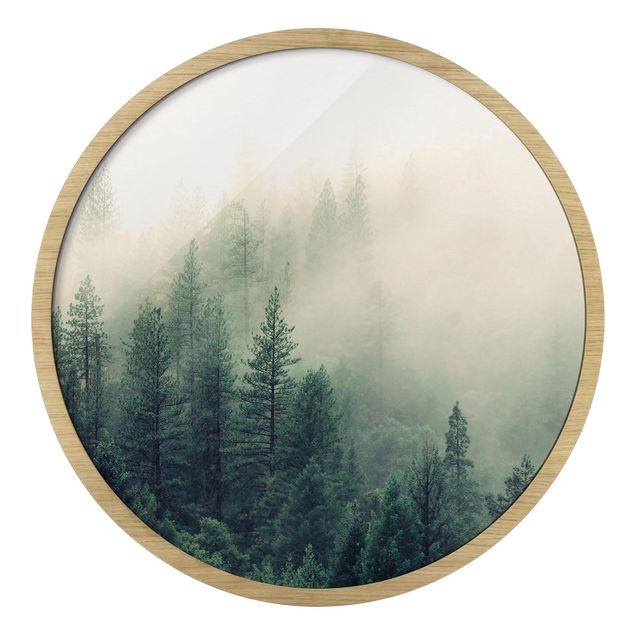 Runde Bilder mit Rahmen Wald im Nebel Erwachen