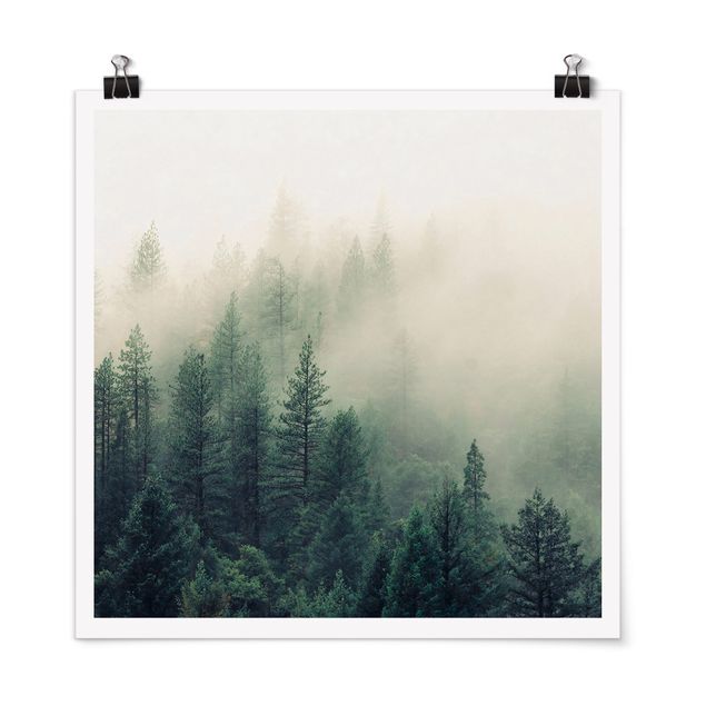 Poster Naturbilder Wald im Nebel Erwachen