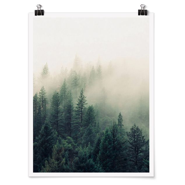 Poster Natur Wald im Nebel Erwachen