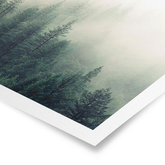 Wandbilder Natur Wald im Nebel Erwachen