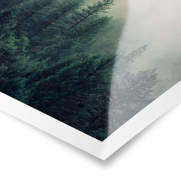 Wandbilder Modern Wald im Nebel Erwachen