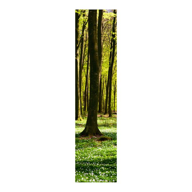 Schiebegardine Wald Waldwiese