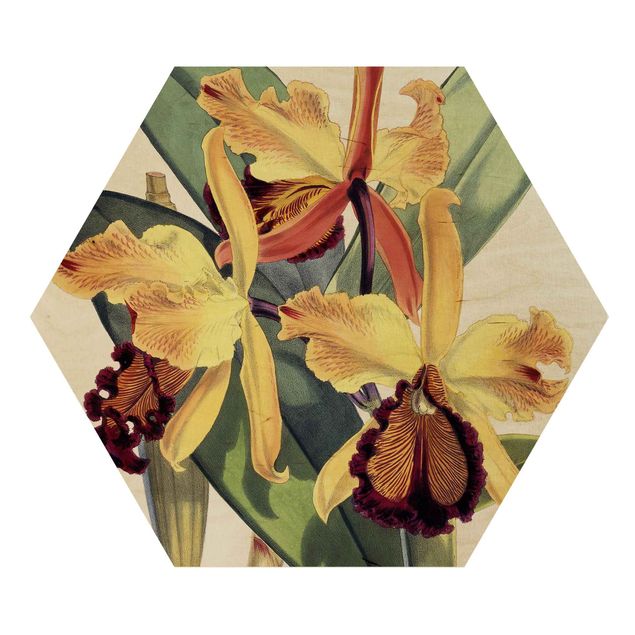 Wandbilder Blumen Walter Hood Fitch - Orchidee