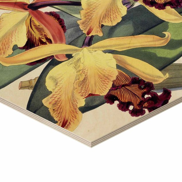 Bilder auf Holz Walter Hood Fitch - Orchidee