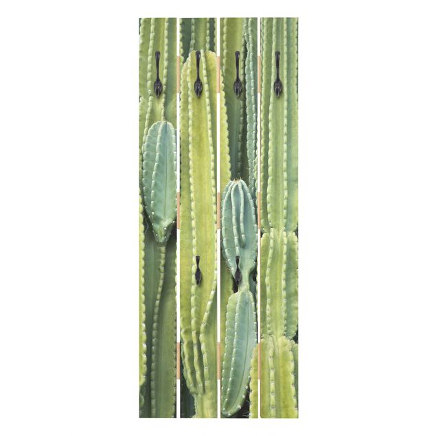 Wandgarderoben Grün Kaktus Wand