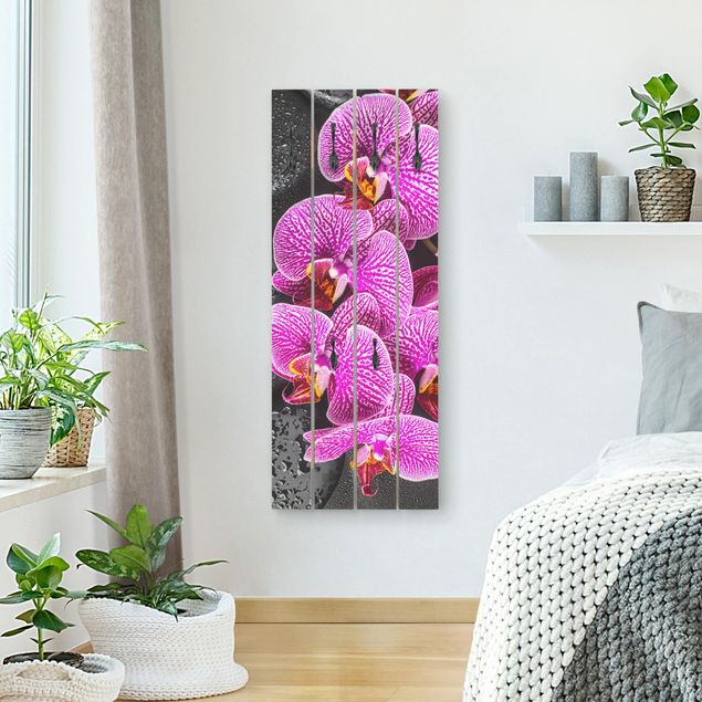 Garderobe Blume Pinke Orchidee