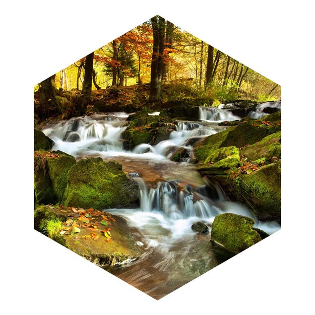 Fototapeten Grün Wasserfall herbstlicher Wald