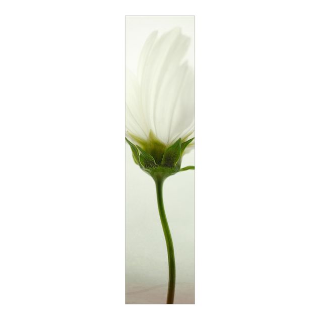 Schiebevorhang Blumen Weiße Cosmea