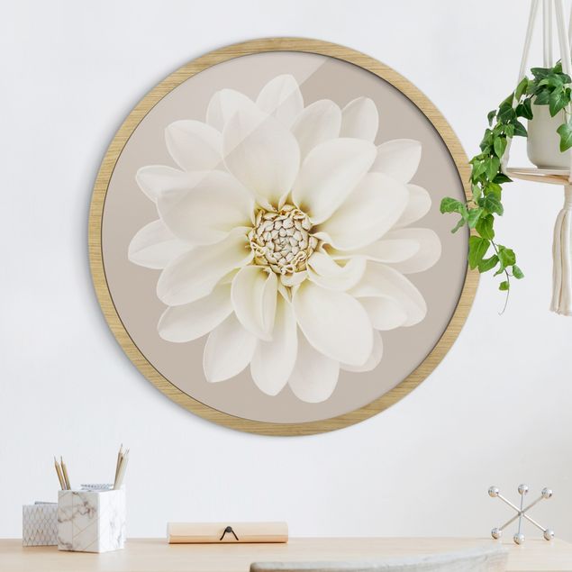 Blumenbilder mit Rahmen Weiße Dahlie auf Creme