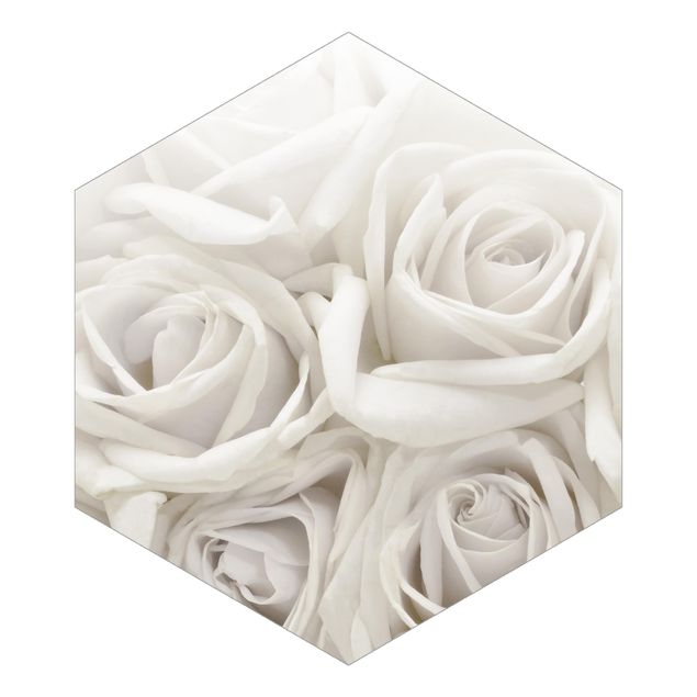 Fototapete kaufen Weiße Rosen