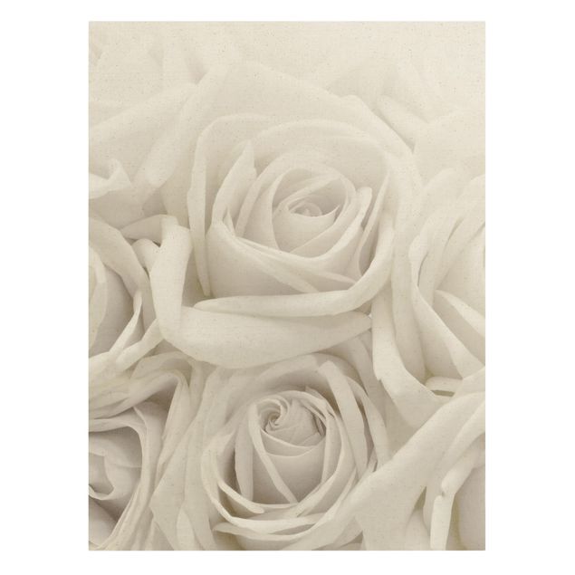 Wandbilder Blumen Weiße Rosen