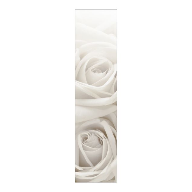 Schiebevorhang Blumen Weiße Rosen