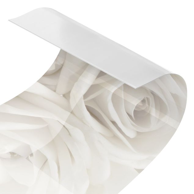 Küchenrückwand Folie selbstklebend Weiße Rosen