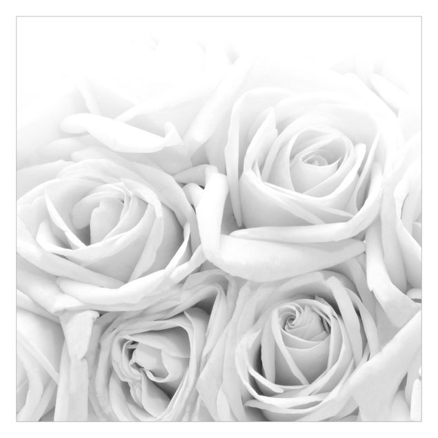 Fototapete kaufen Weiße Rosen Schwarz-Weiß