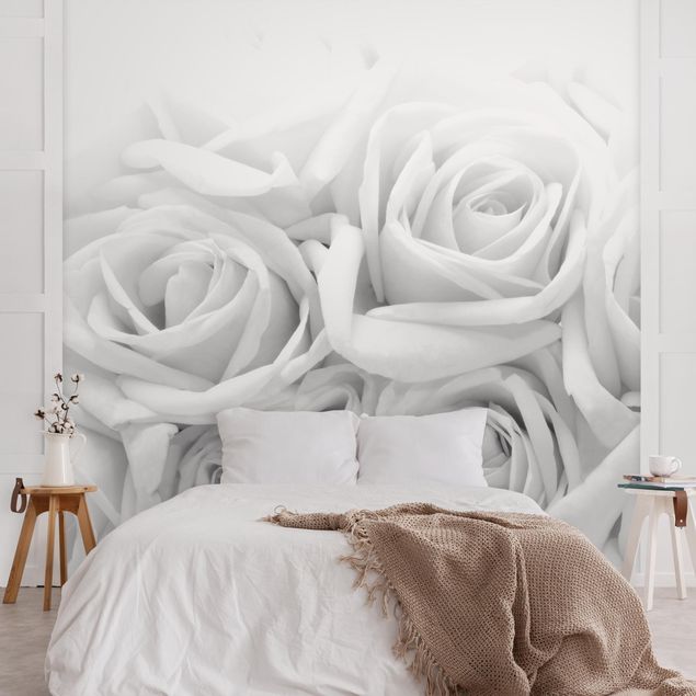 Tapete Landhausstil Weiße Rosen Schwarz-Weiß