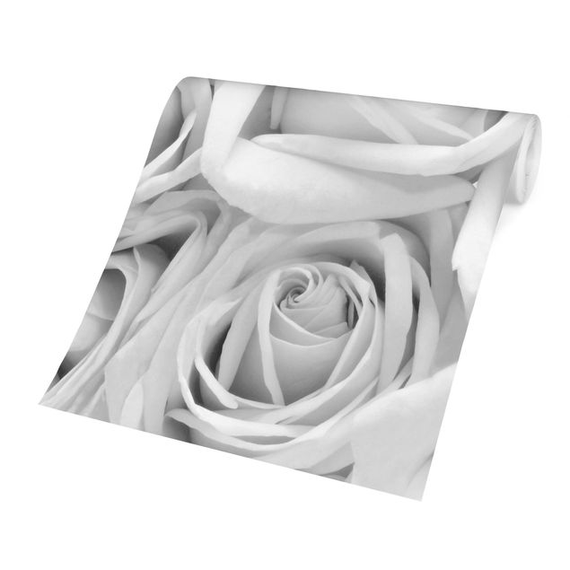 Tapete Blumen Weiße Rosen Schwarz-Weiß