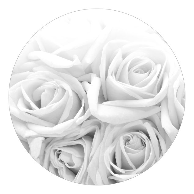 Blumentapete Weiße Rosen Schwarz-Weiß