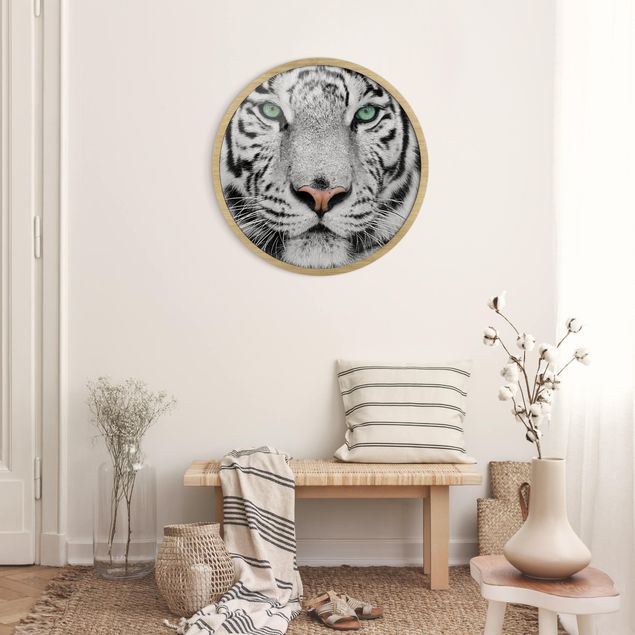 schwarz-weiß Bilder gerahmt Weißer Tiger