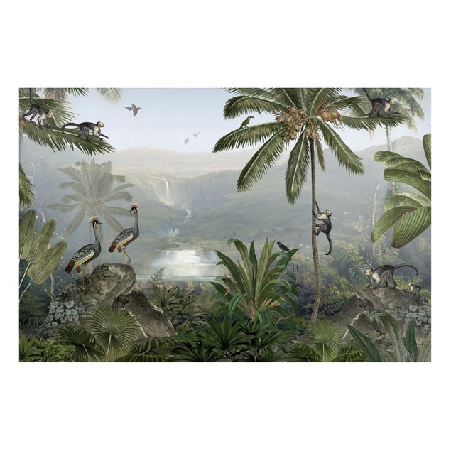Wandbilder Landschaften Weitblick in die Tiefen des Dschungels