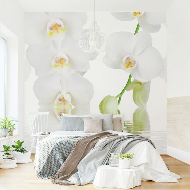 Fototapete Weiße selbstklebend | Orchidee Orchidee - Wellness nach Vliestapete Maß &