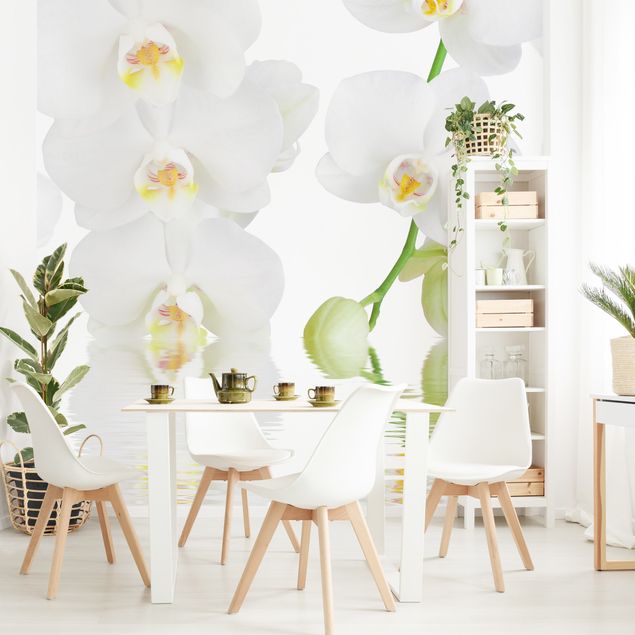 nach Vliestapete | Fototapete selbstklebend & Wellness Orchidee Maß Weiße - Orchidee