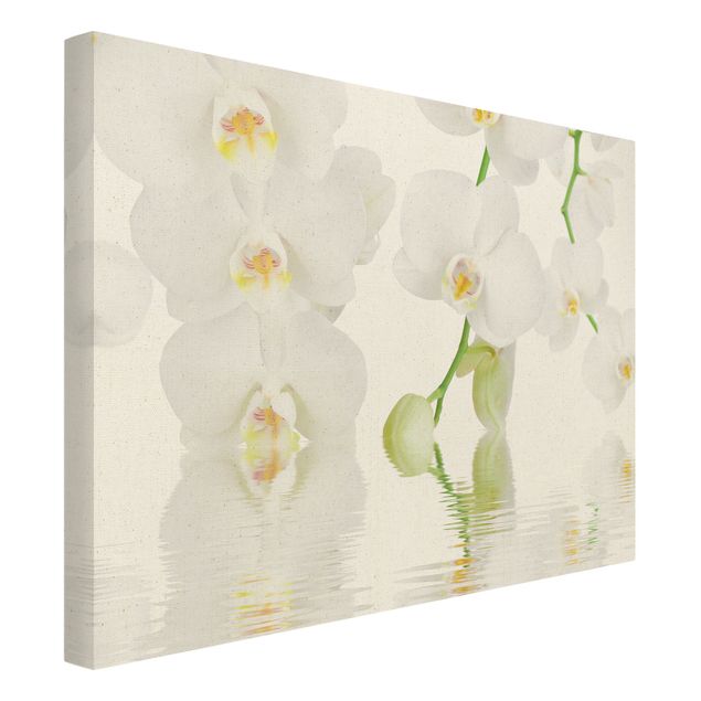 Wandbilder Blumen Wellness Orchidee - Weiße Orchidee